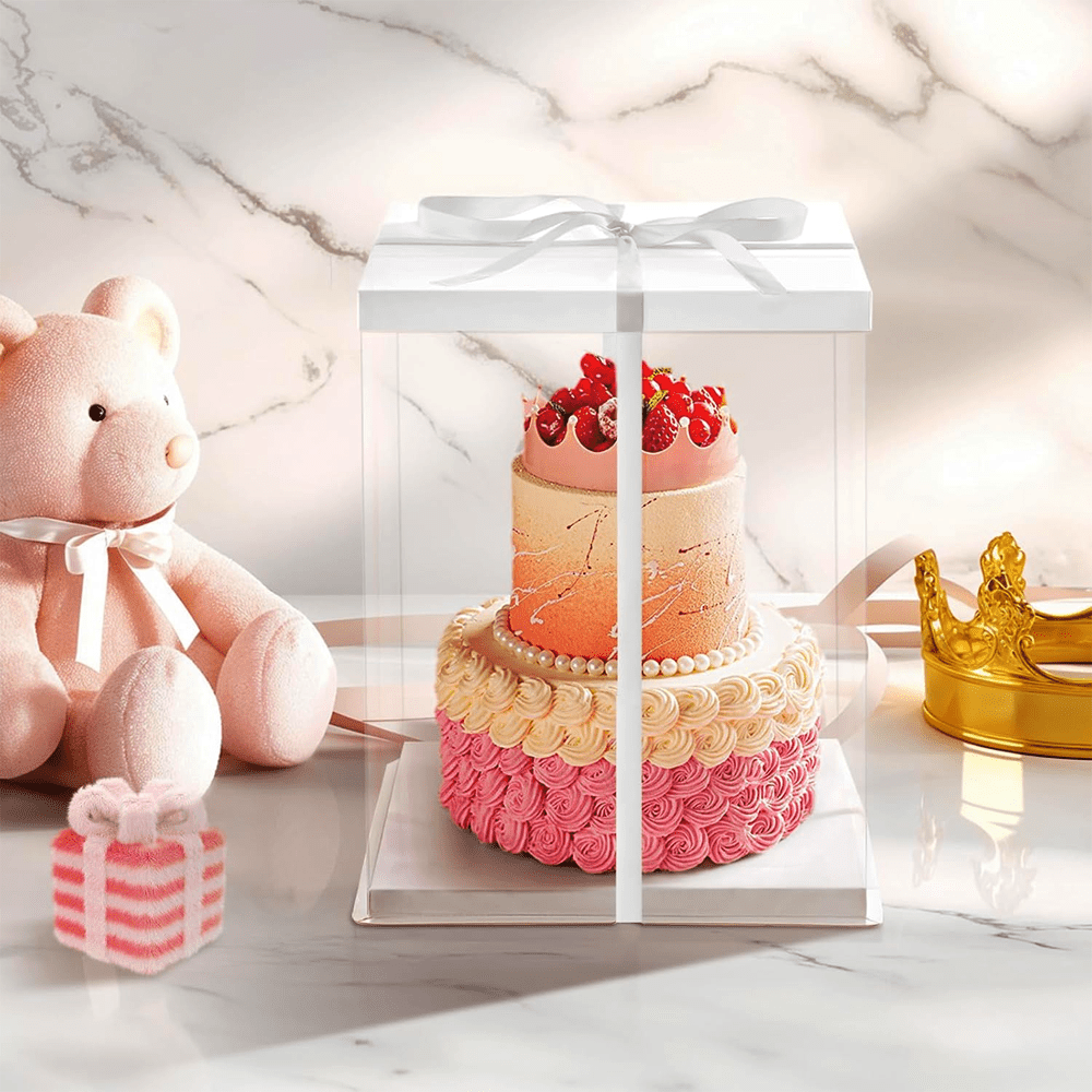 6" Inch Transparent Boxes - TEM IMPORTS™