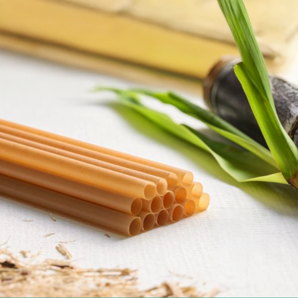 Sugarcane Straws