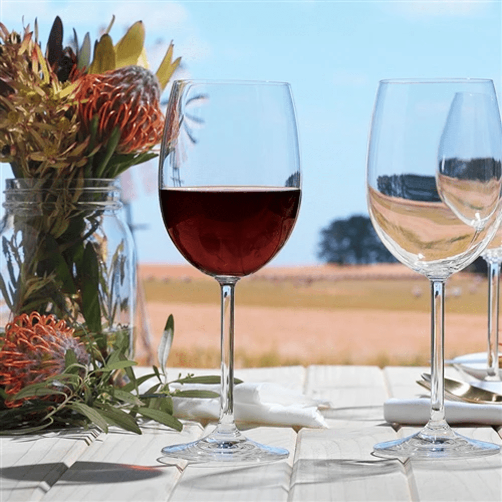 Plastic Stemware - TEM IMPORTS™