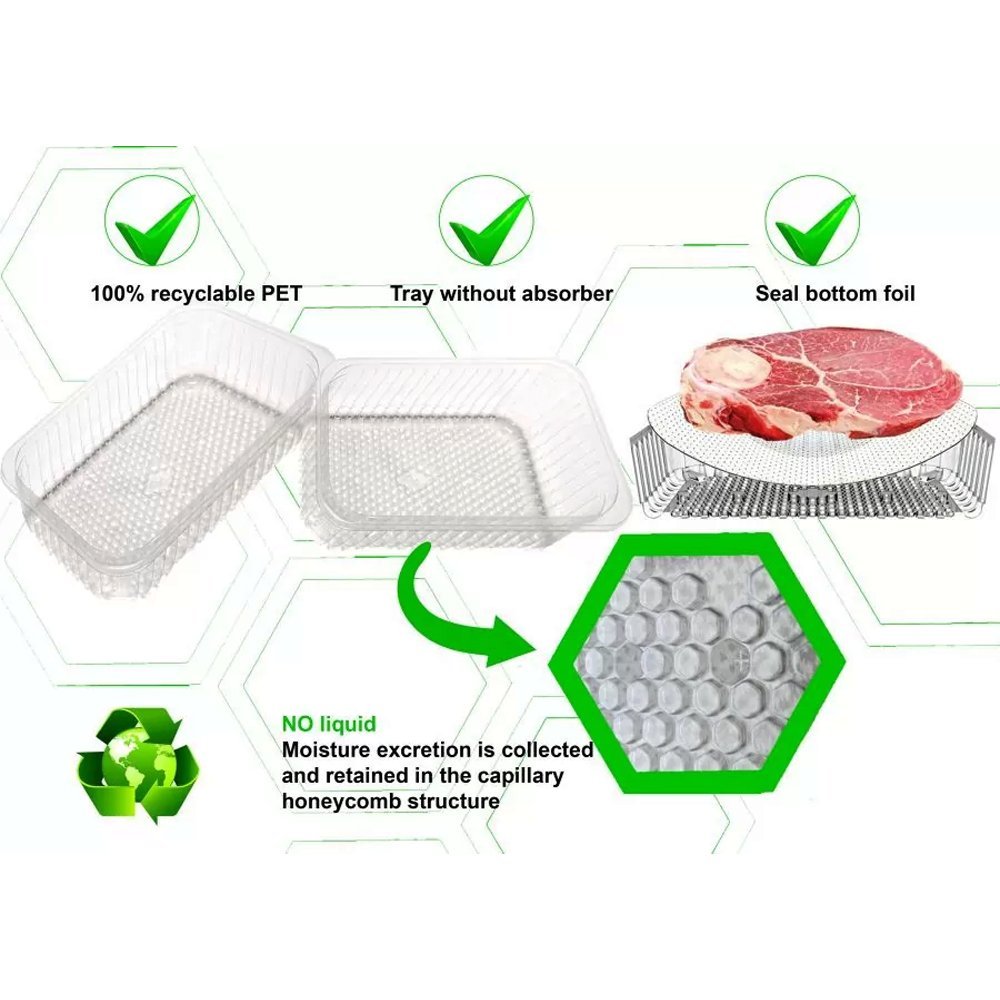 10x13" Clear LiquiLock RPET Produce / Meat Tray - 200/CTN - TEM IMPORTS™