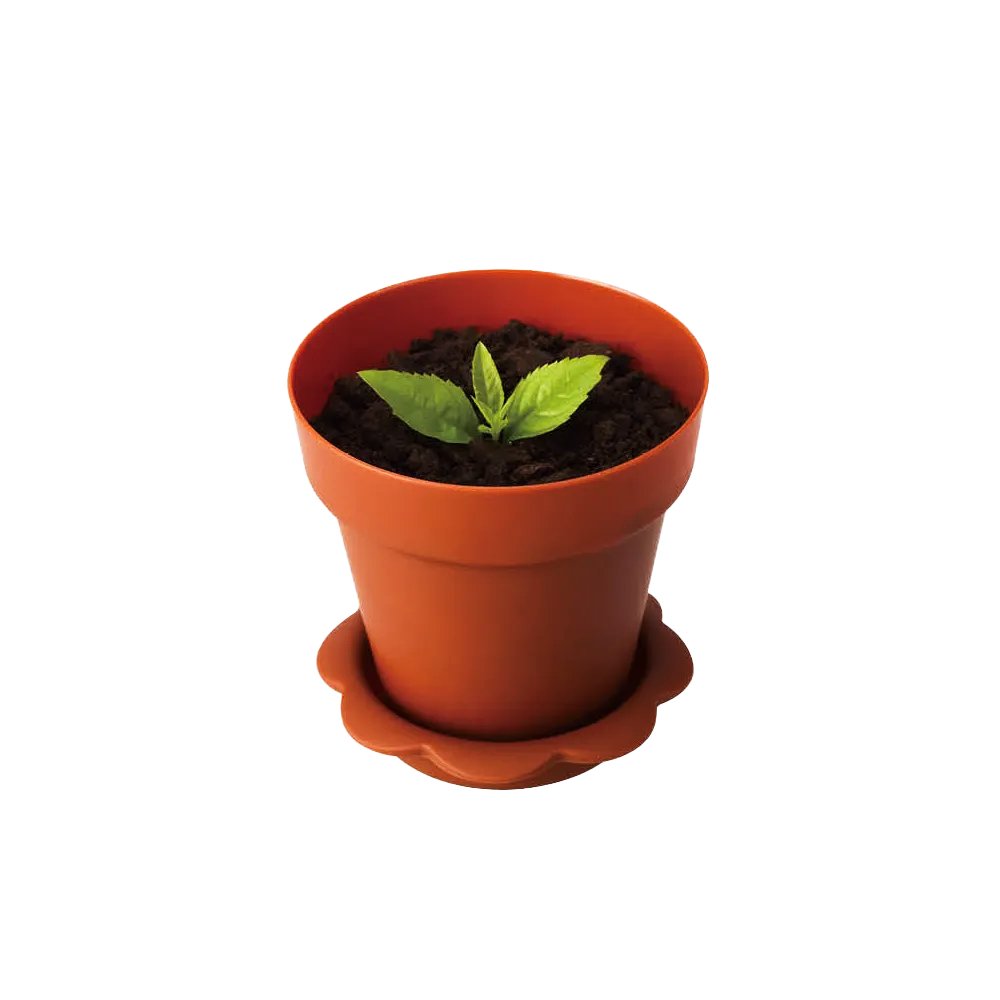 190mL Mini Round Potted Plant Shape Dessert Cup Base - Brown - TEM IMPORTS™
