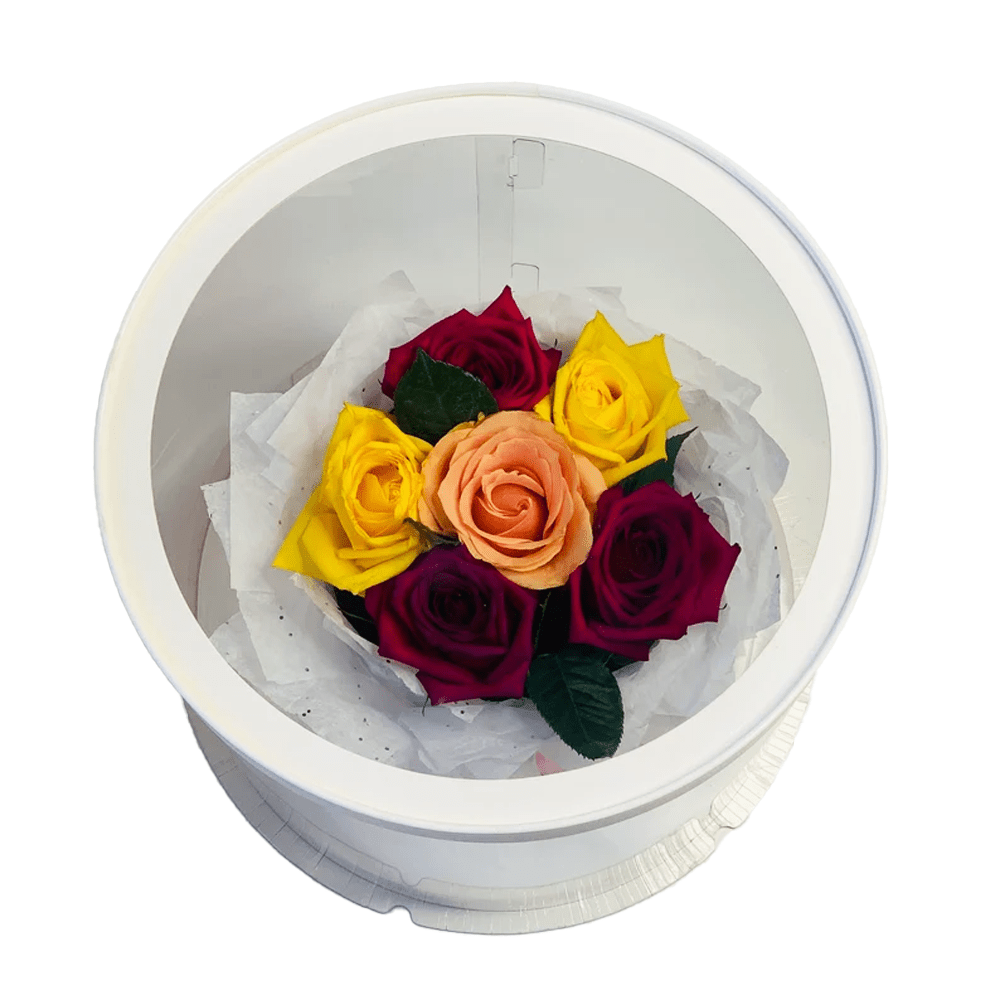30x34 Round Transparent Box With Window Lid - TEM IMPORTS™