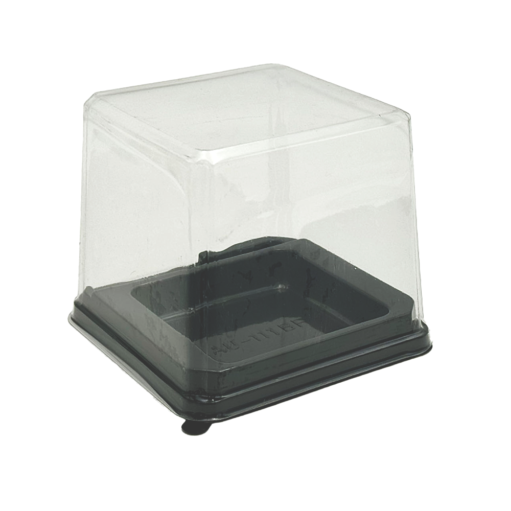 H100mm Square Internal Square With Clear Lid Container - Indoor Small Convenient Featured Simple Kinjection Square Crate