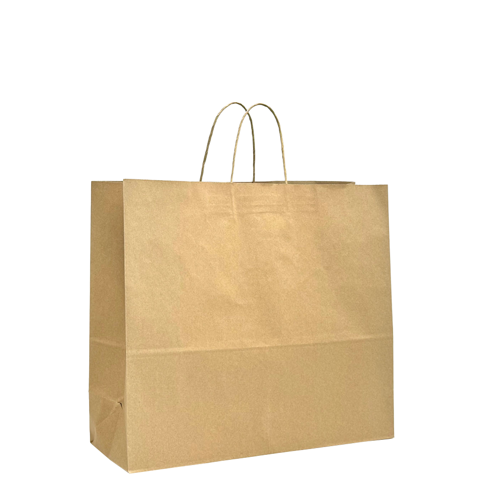 Large Boutique Brown Twisted Handle Paper Bag