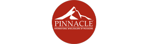 Pinnacle logo with a red circle and mountain graphic on a white background