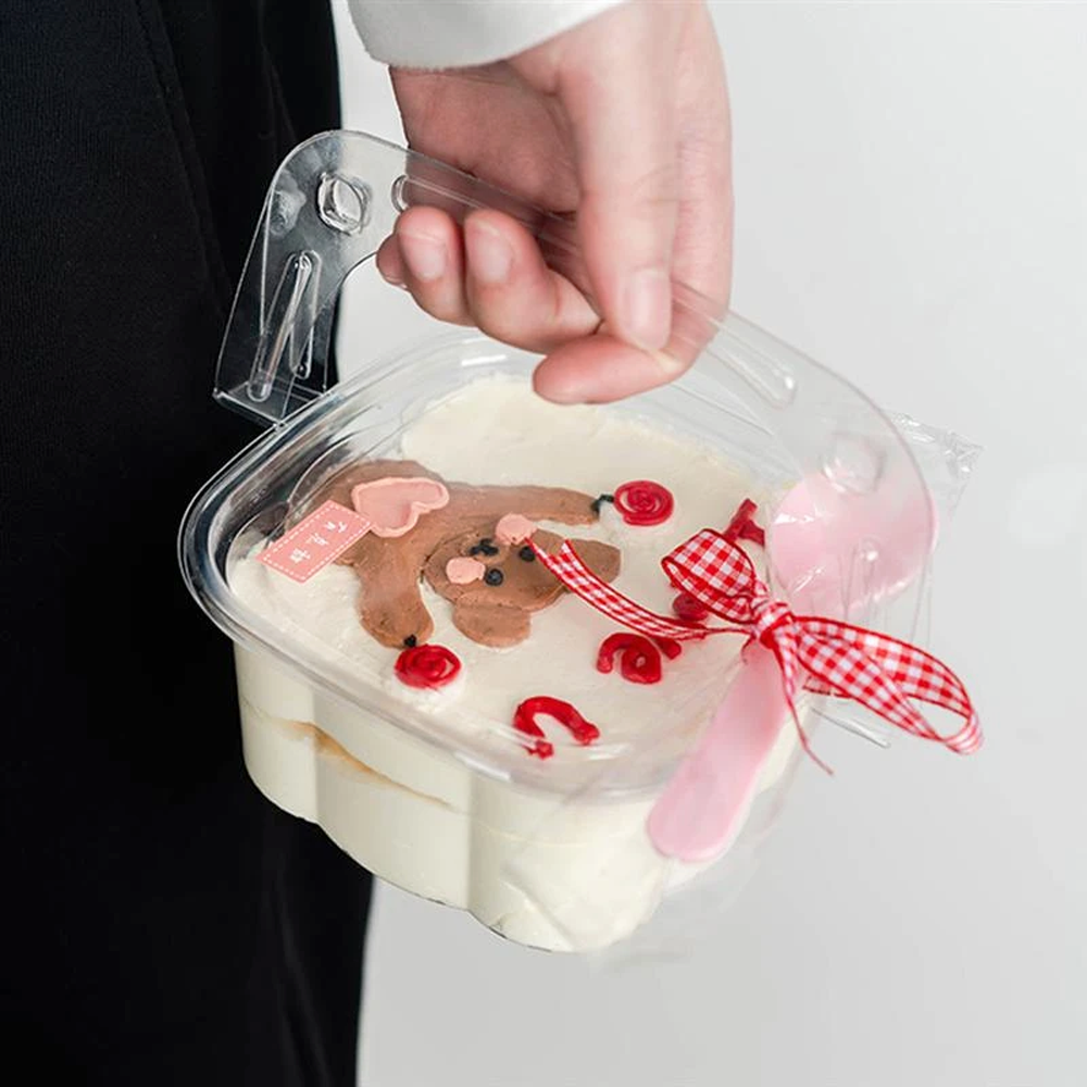 Clear PET Plastic Small Cake Container With Lid