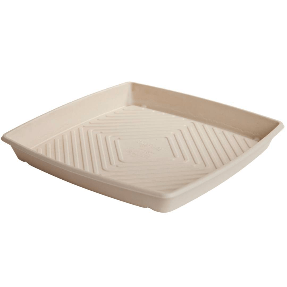 Bioway Sugarcane Catering Tray Natural - Large - TEM IMPORTS™