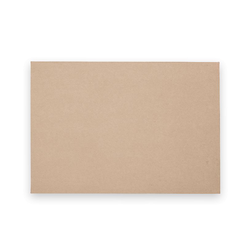 Extra Large BioBoard Catering Tray No Window Lid - 50pcs/Ctn - TEM IMPORTS™