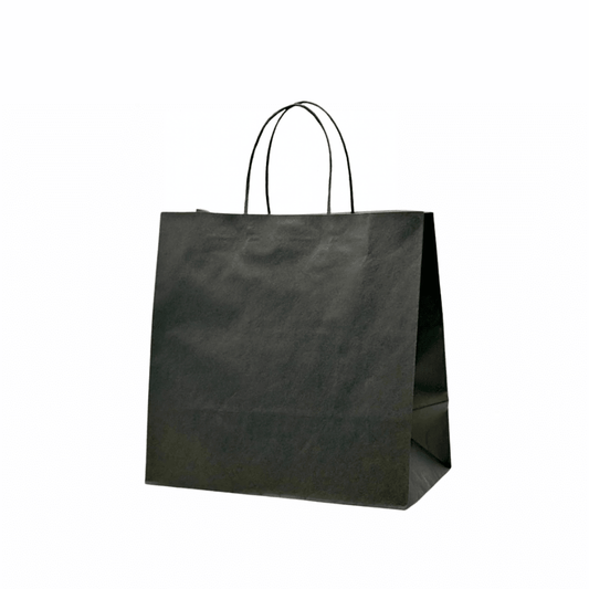 Medium Black Paper Takeaway Bags with Twisted Handles (Carton of 250) - TEM IMPORTS™
