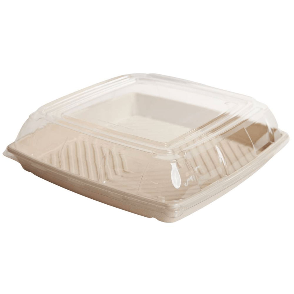 PET Lid To Suit Sugarcane Catering Tray - Large - TEM IMPORTS™