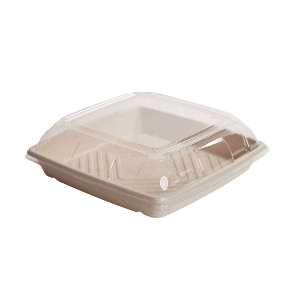 PET Lid To Suit Sugarcane Catering Tray - Medium - TEM IMPORTS™