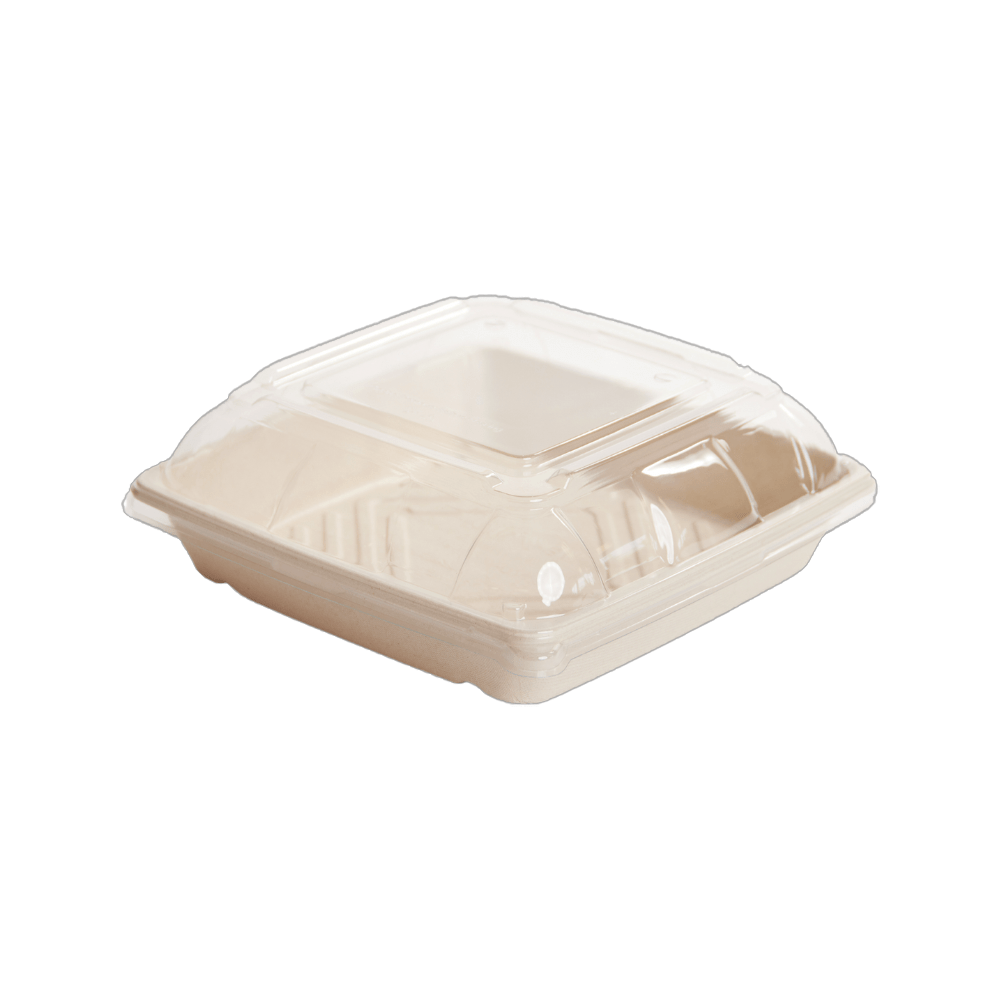PET Lid To Suit Sugarcane Catering Tray - Small - TEM IMPORTS™