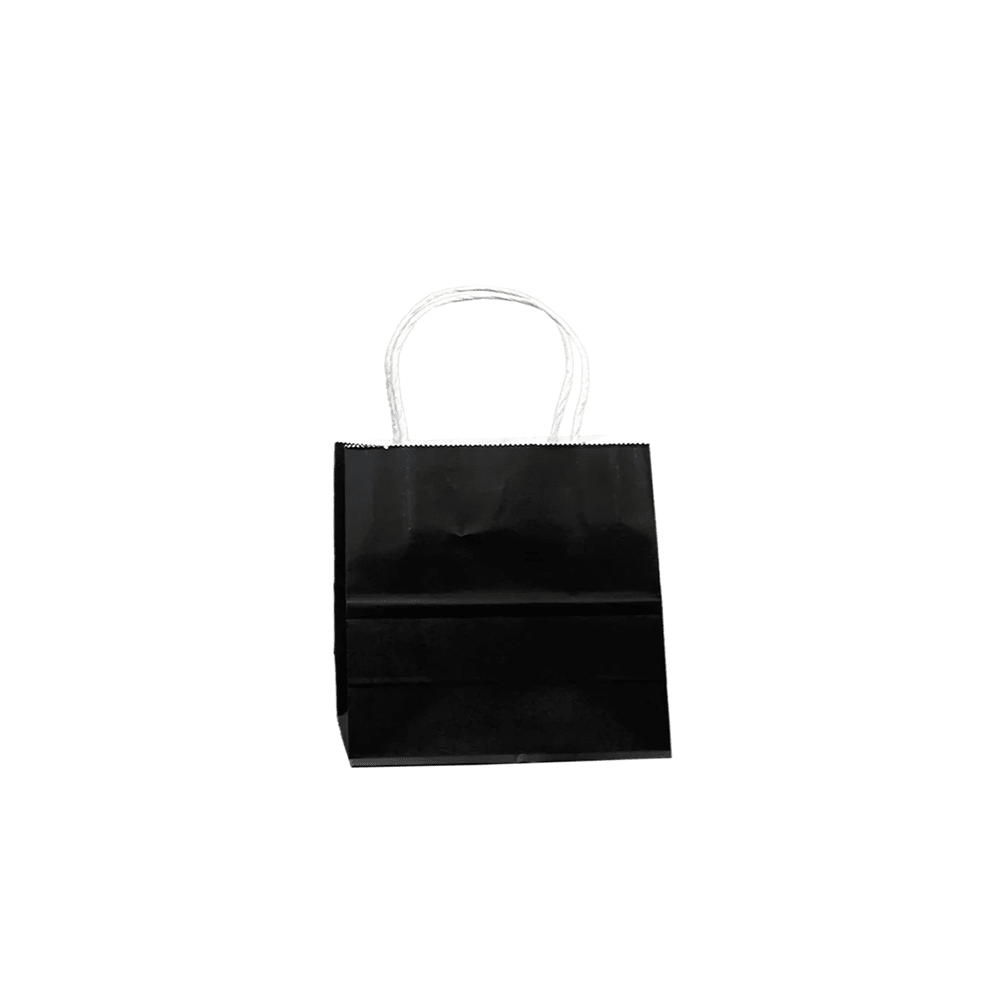 Retail Takeaway Black Twisted Handle Paper Bag Mini - 500/CTN - TEM IMPORTS™