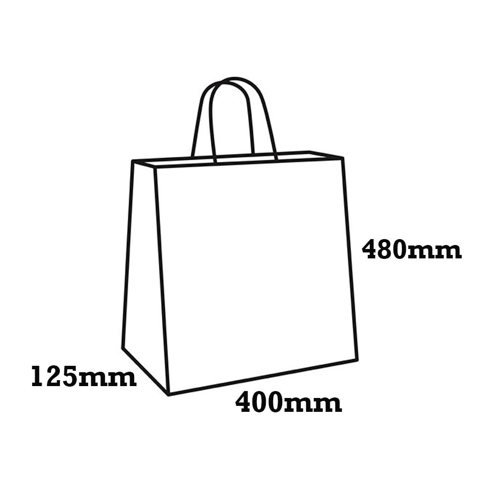 Retail Takeaway Kraft Twisted Handle Paper Bag - Large - TEM IMPORTS™