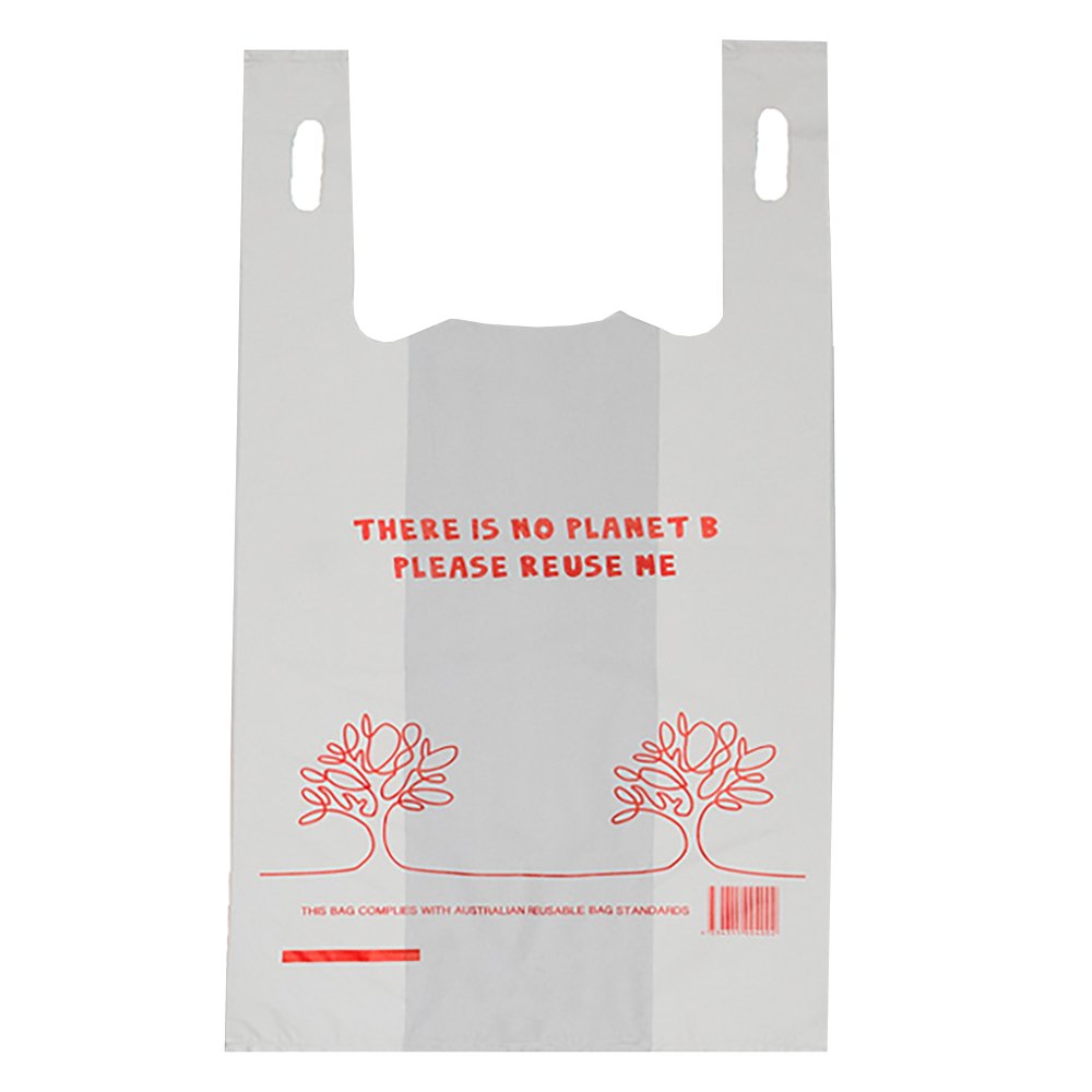 Small Reusable Plastic Carry Bag - TEM IMPORTS™