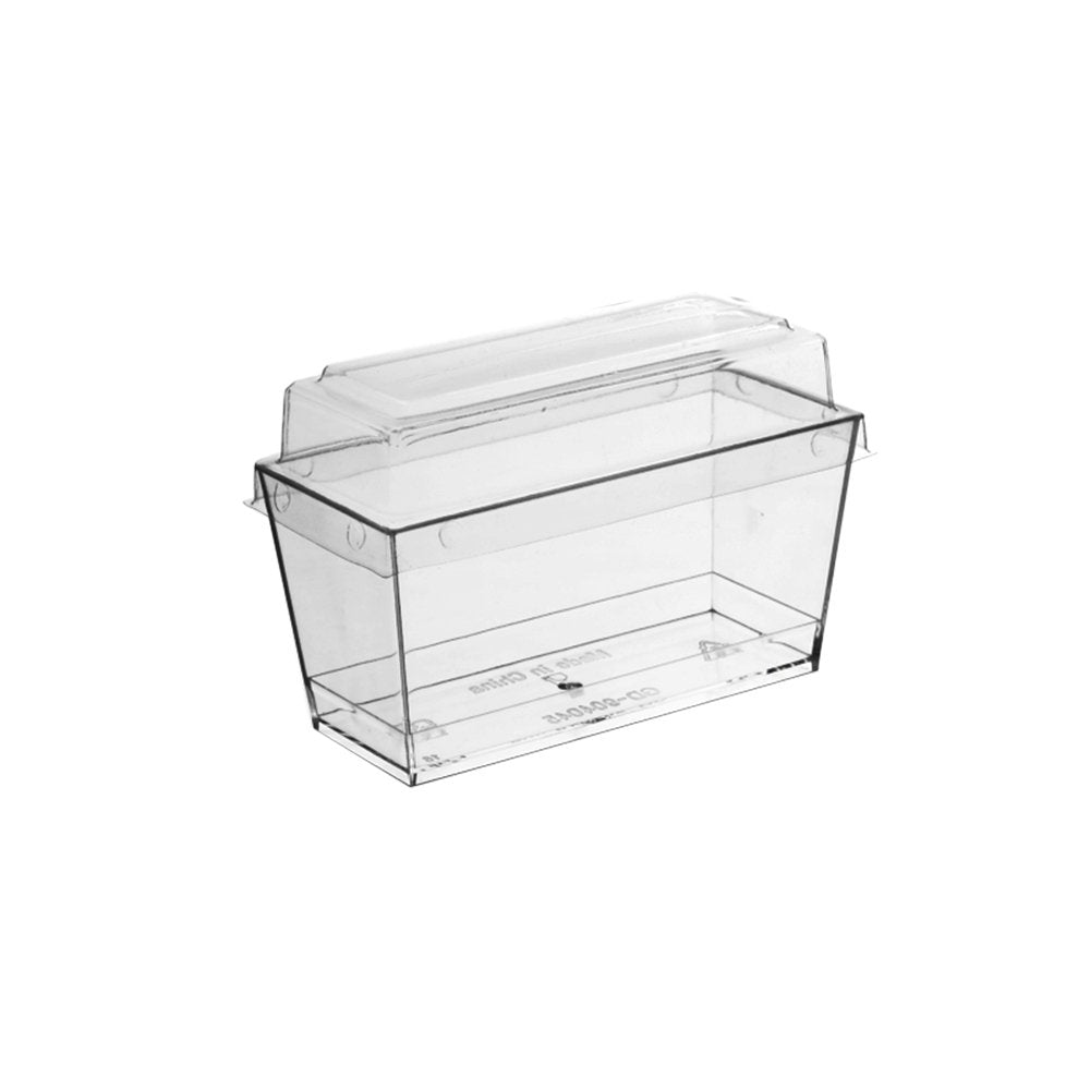 120mL Clear Mini Rectangular Container With Lid - TEM IMPORTS™