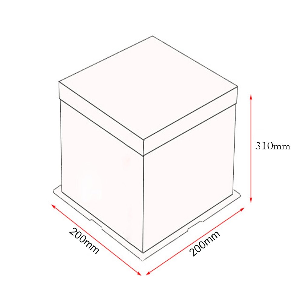 20x20x31 Clear Square Cake Box - White - TEM IMPORTS™