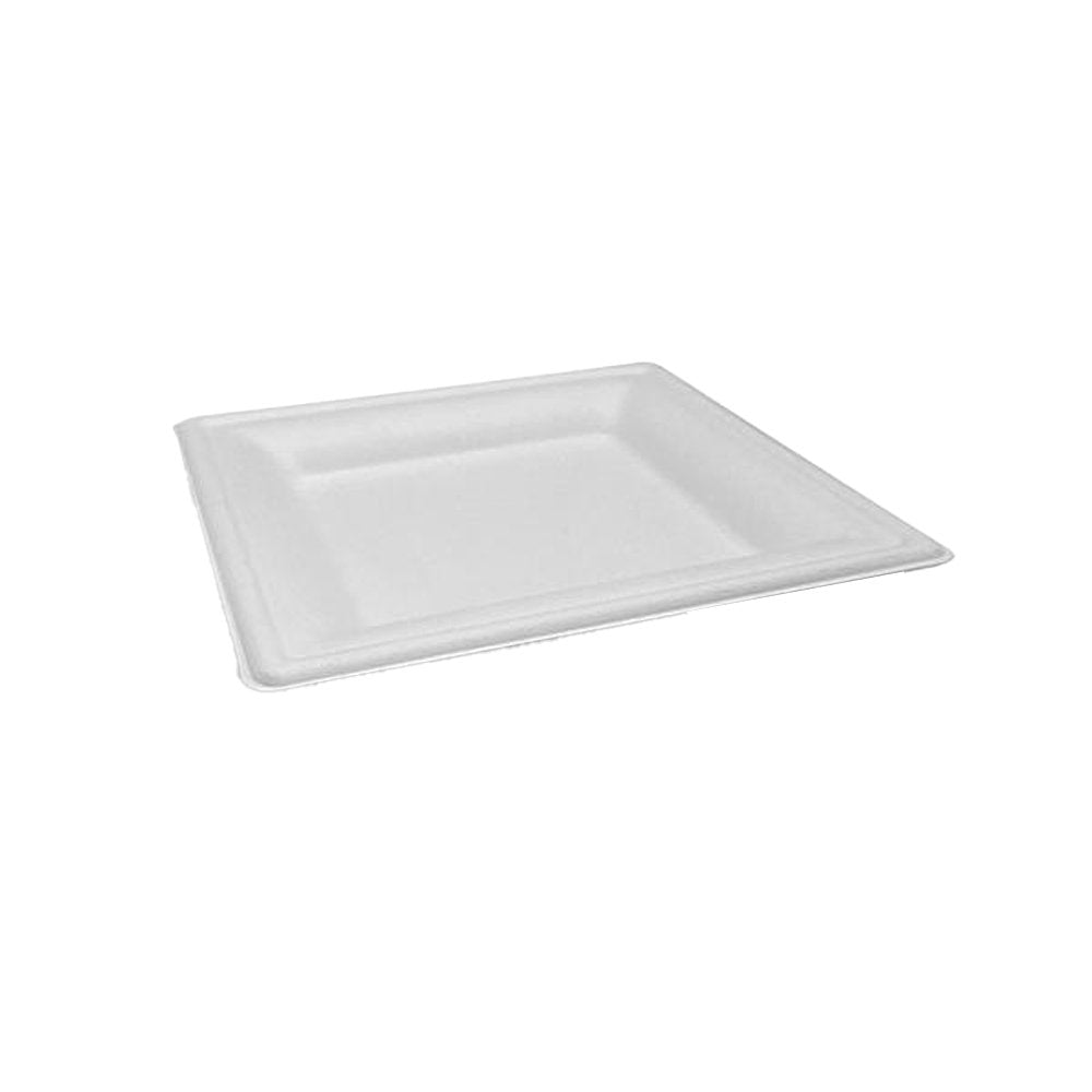 260mm/10 Inch Square Sugarcane Plate - TEM IMPORTS™