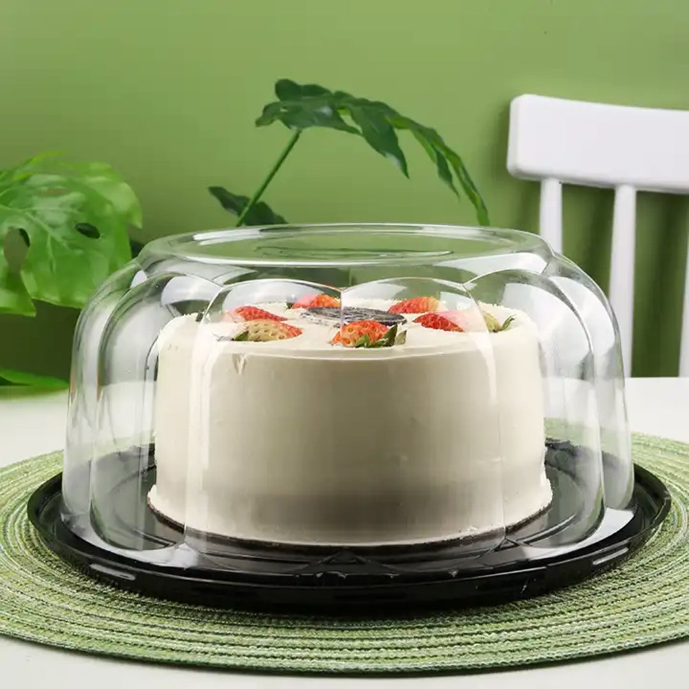 260x115mm Clearview Dome Container - TEM IMPORTS™