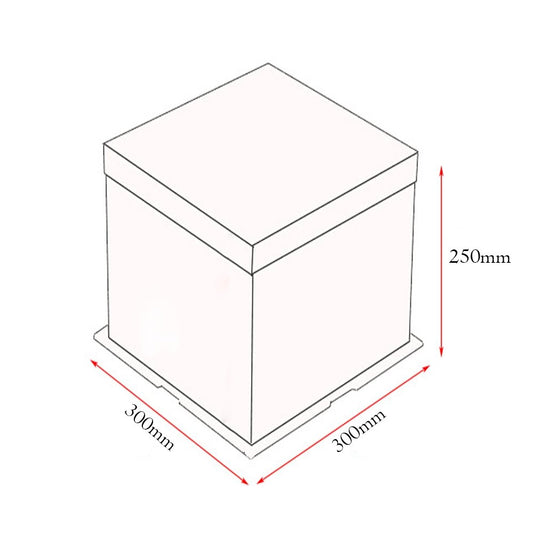 30x30x25 Clear Square Cake Box - White - TEM IMPORTS™