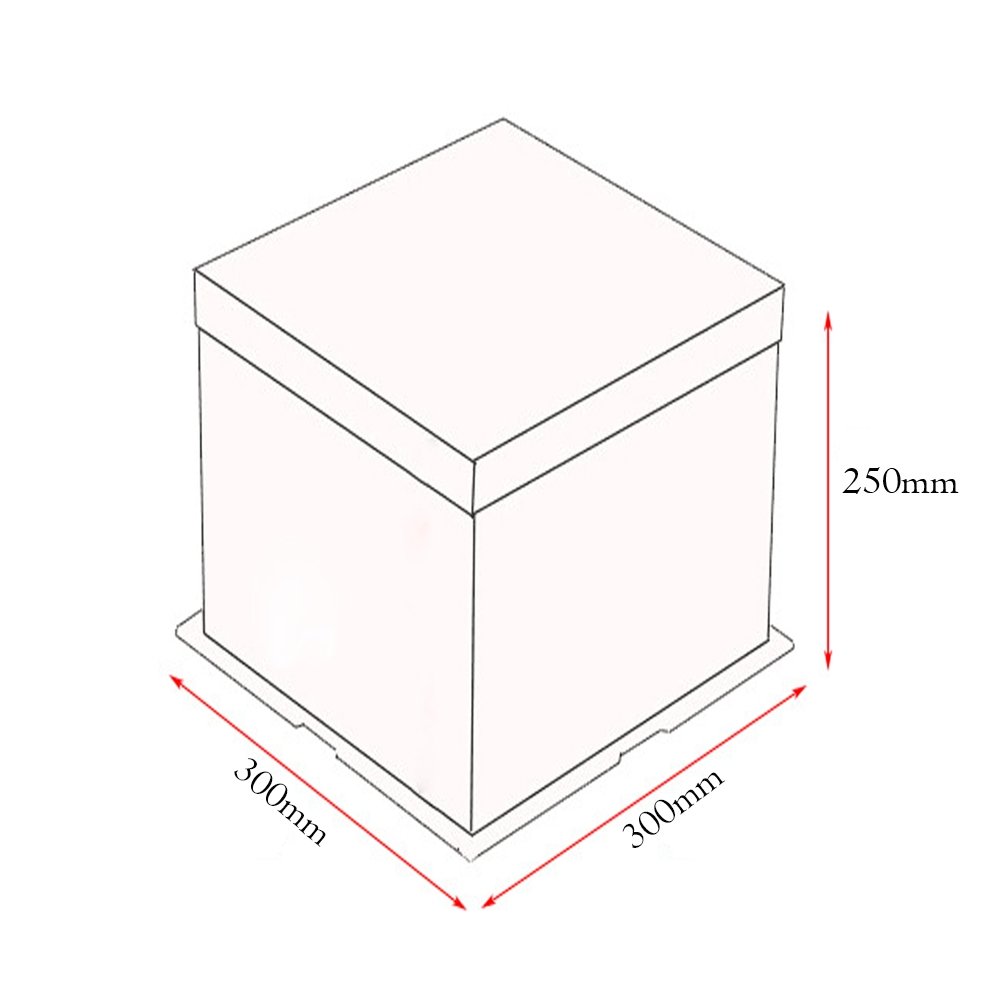 30x30x25 Clear Square Cake Box - White - TEM IMPORTS™