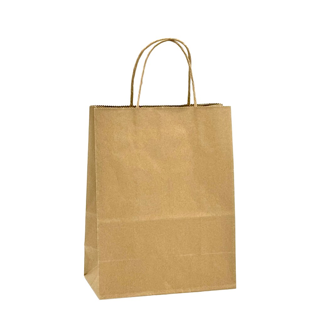 Ex Small Brown Kraft Paper Twist Handle Bag - TEM IMPORTS™