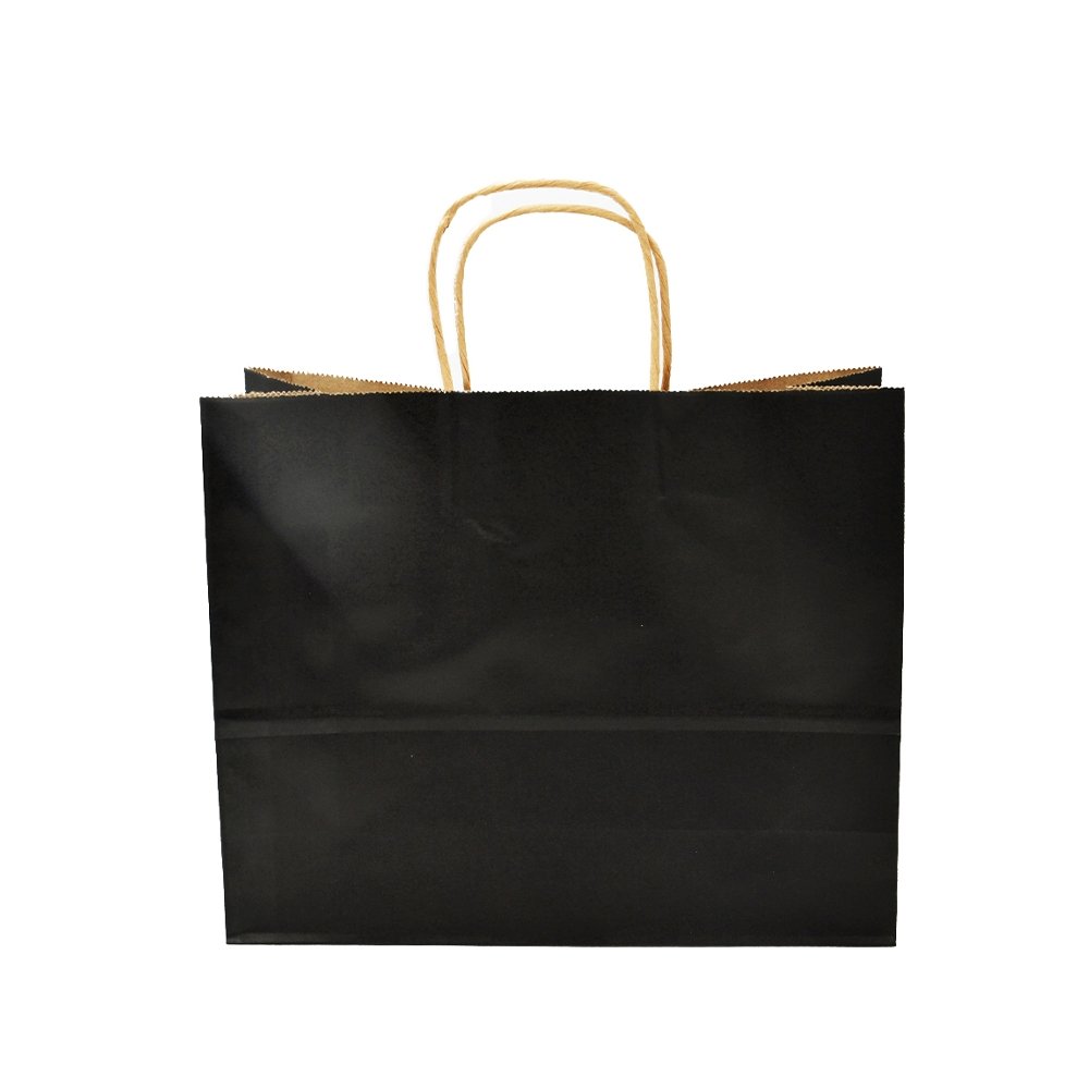 Medium Black Paper Twist Handle Bag - TEM IMPORTS™