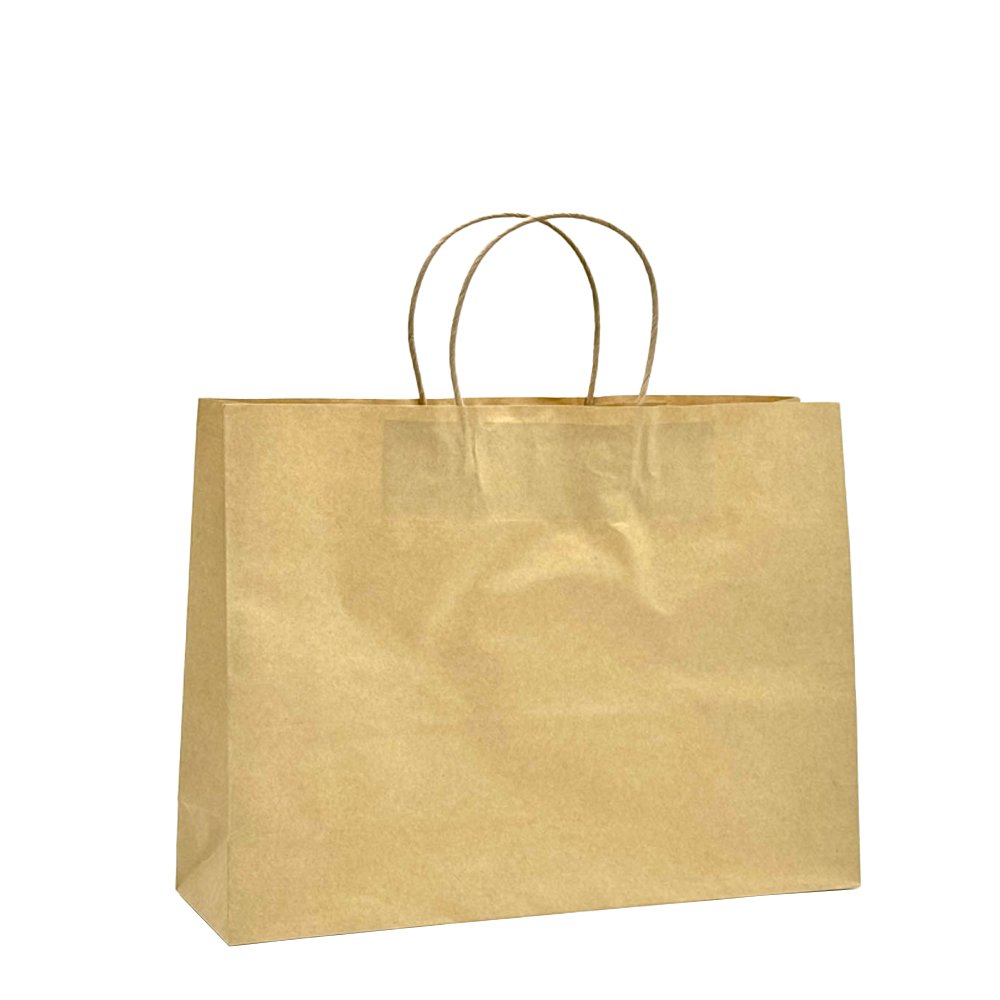 Medium Boutique Brown Twisted Handle Paper Bag - TEM IMPORTS™