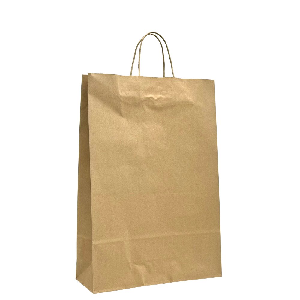 Medium Brown Twisted Handle Paper Bag - H480 - TEM IMPORTS™