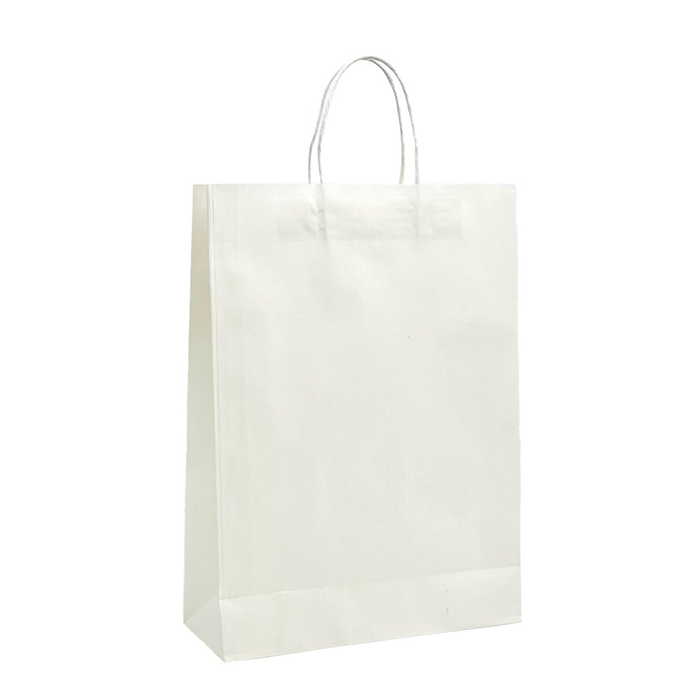 Medium White Twisted Handle Paper Bag - H420 - TEM IMPORTS™