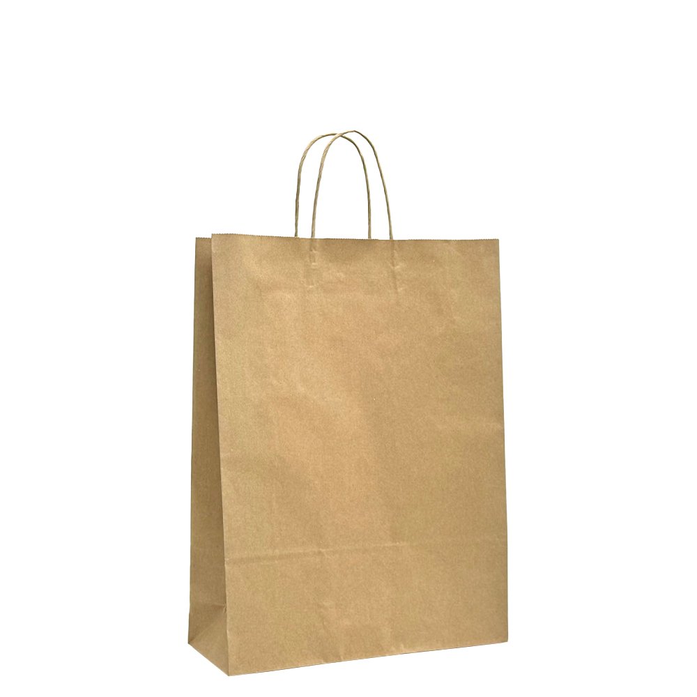 Midi Brown Twisted Handle Paper Bag - TEM IMPORTS™