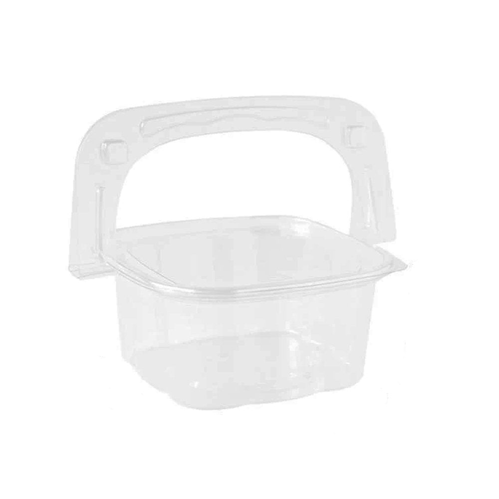 Portable Small Plastic Container With Handle - TEM IMPORTS™