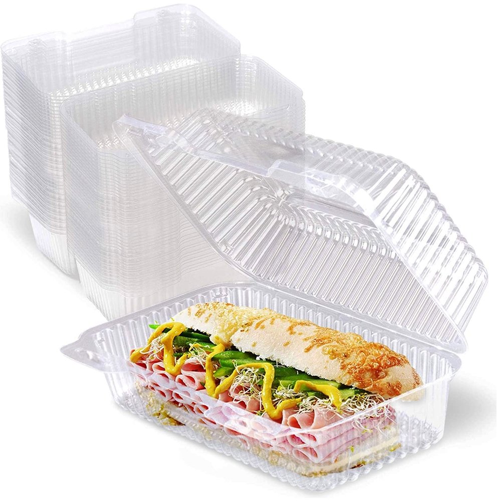 Small Hinged Lid Clearview Container - TEM IMPORTS™