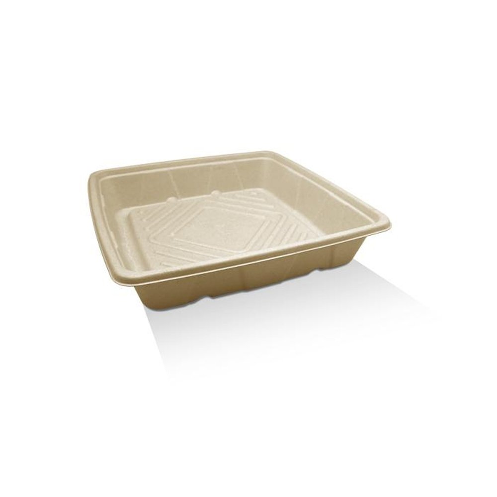 Small Sugarcane Catering Tray 10" - TEM IMPORTS™