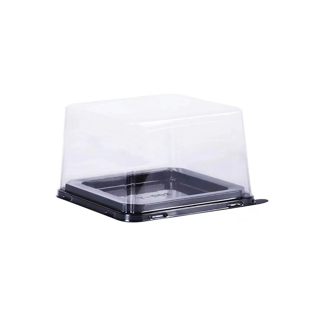 Square Internal Square Container With Fork - TEM IMPORTS™