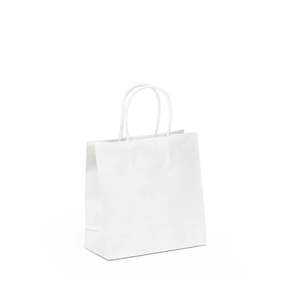 Ssmall White Twisted Handle Paper Bag - TEM IMPORTS™