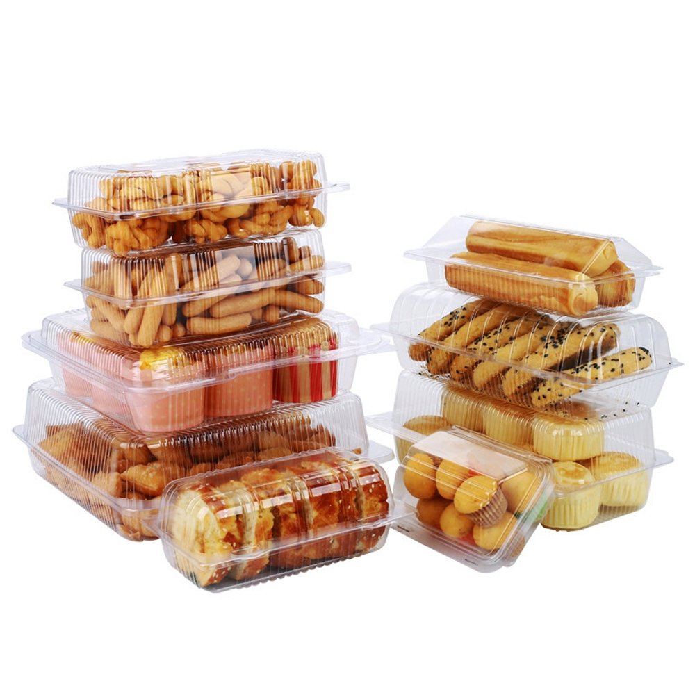 Clear Hinged Containers - TEM IMPORTS™