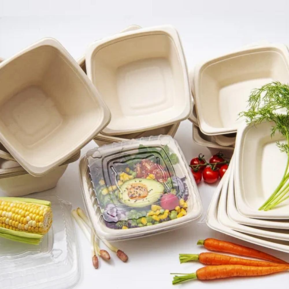 Natural Sugarcane Square Containers