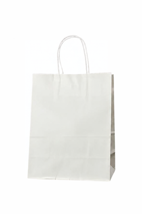 Extra Small White Twisted Handle Paper Bag (Carton of 250)