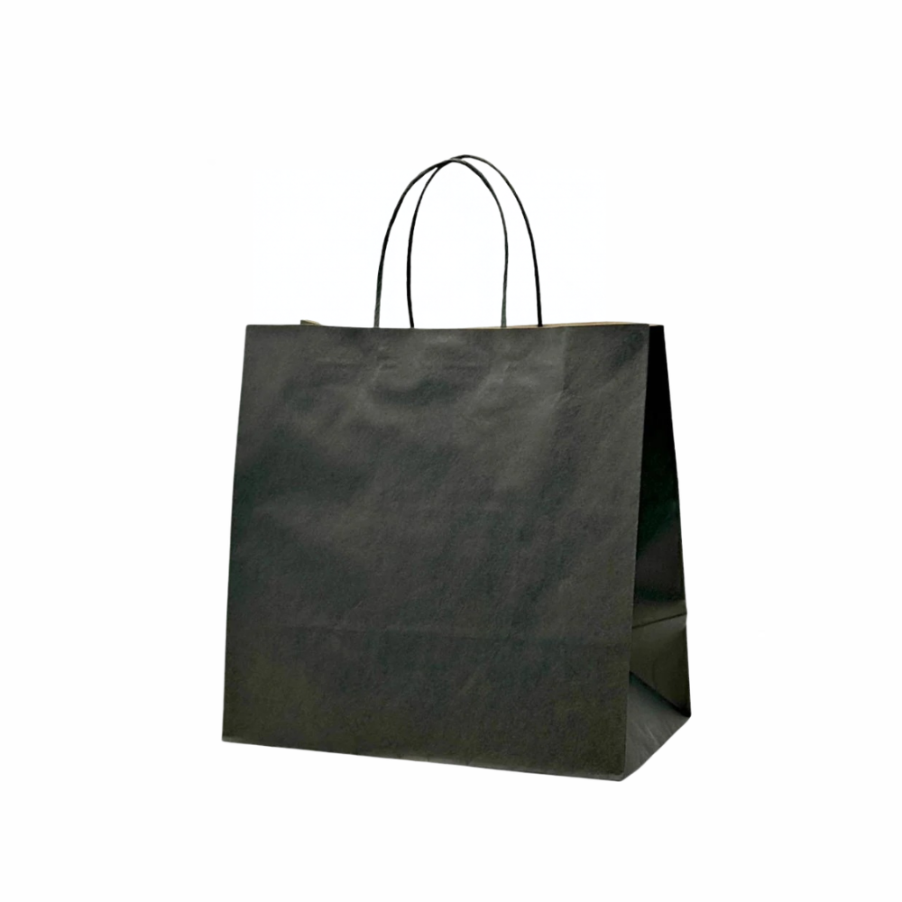 Medium Black Paper Takeaway Bags with Twisted Handles (Carton of 250)
