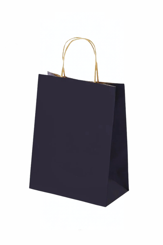 Extra Small Navy Blue Twisted Handle Paper Bag (Carton of 250)
