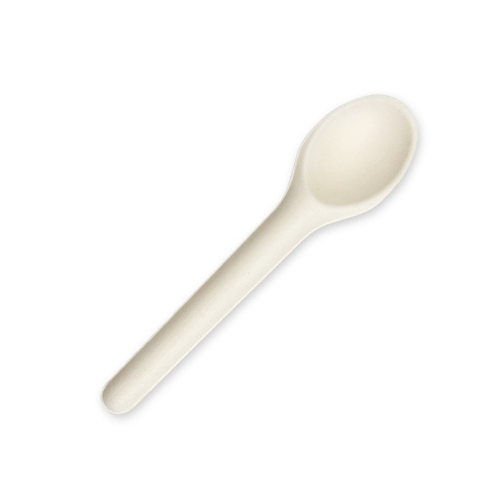 15.4cm Sugarcane Spoon - TEM IMPORTS™