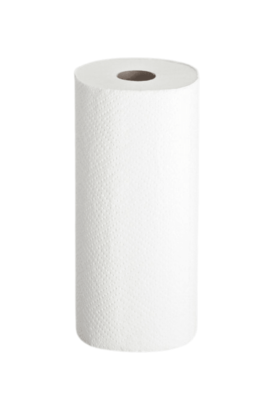 2-Ply Kitchen Paper Towels Twin Pack (Carton of 24) Rolls - TEM IMPORTS™