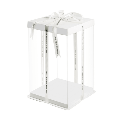 20x20x31 Clear Square Cake Box With Paper Lid - White - TEM IMPORTS™