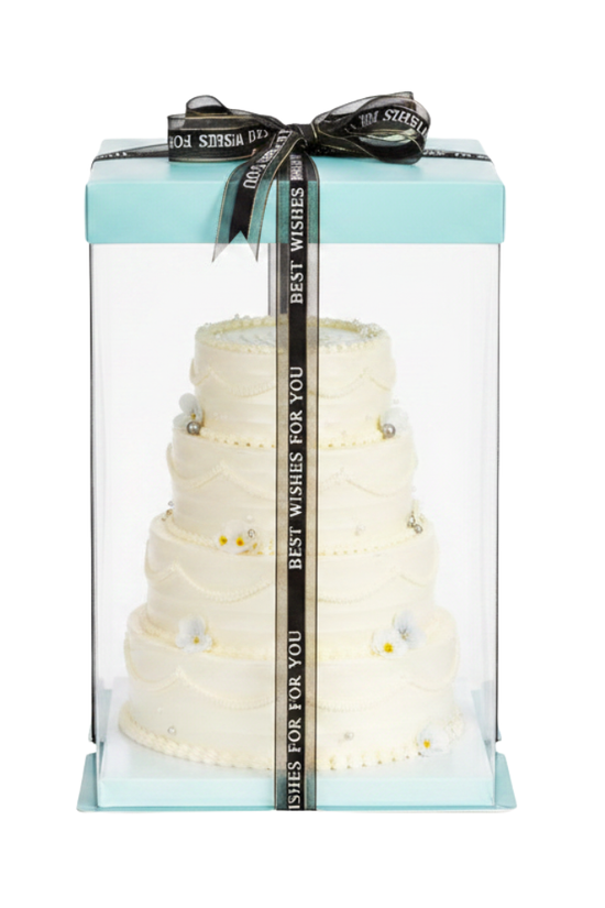 20x20x31 Clear Square Cake Box With Paper Lid - Green Teal