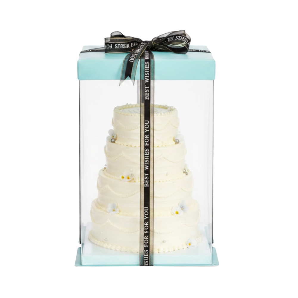 20x20x31 Clear Square Cake Box With Paper Lid - Green Teal