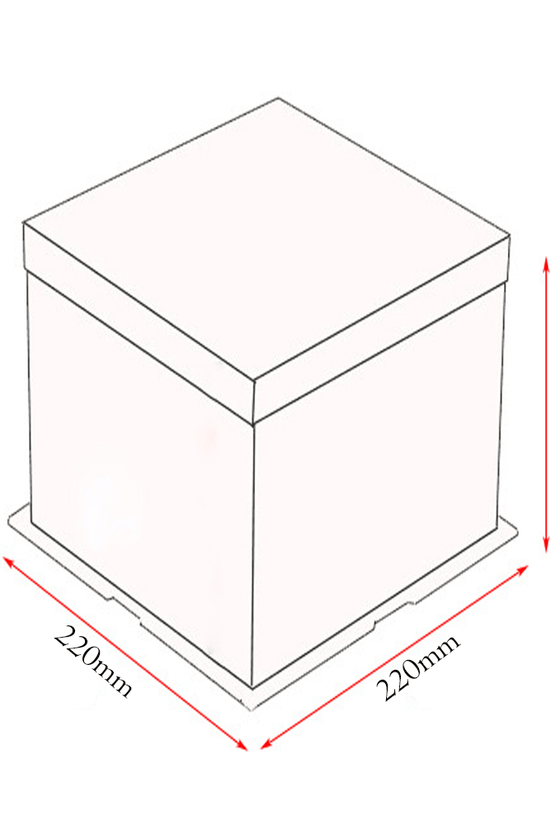 22x22x24 Clear Square Cake Box Gradient Pink With Paper Lid - TEM IMPORTS™