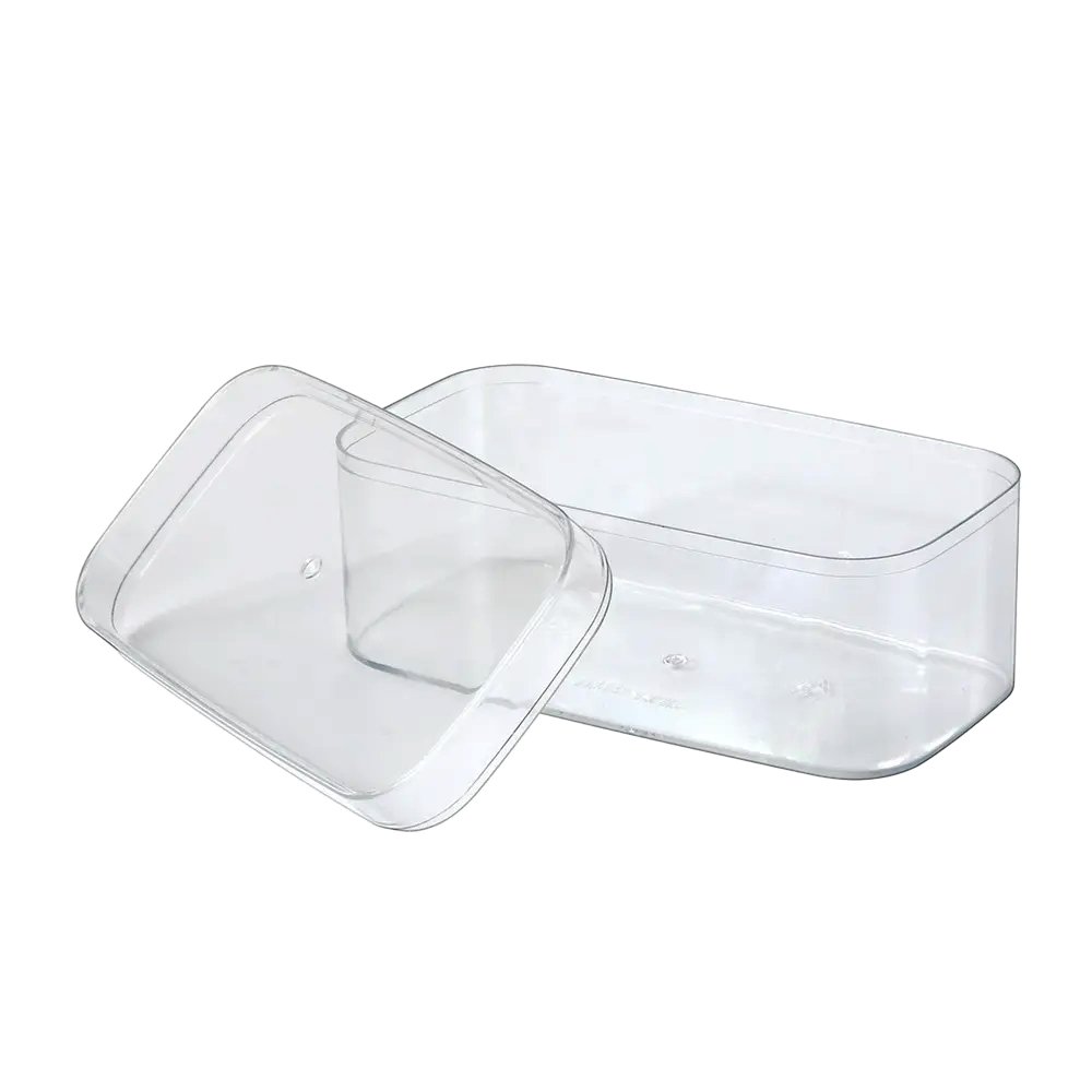 250mL Clear Rectangular Container With Hard Lid - TEM IMPORTS™