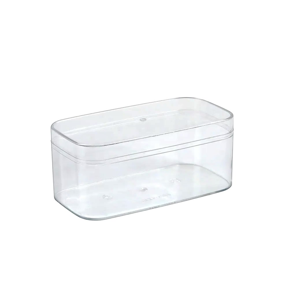 250mL Clear Rectangular Container With Hard Lid - TEM IMPORTS™