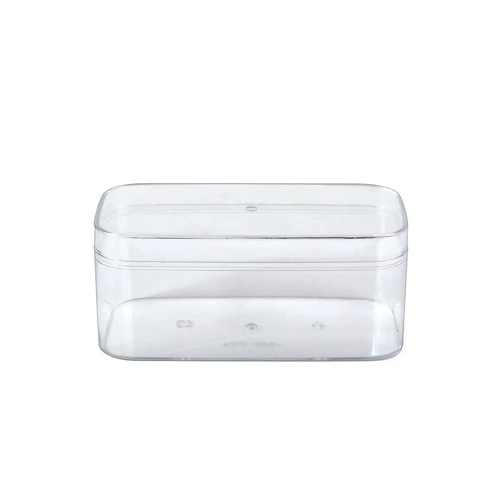 250mL Clear Rectangular Container With Hard Lid - TEM IMPORTS™